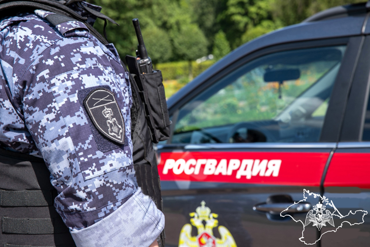 Росгвардейцы за неделю пресекли ряд правонарушений в Крыму и Севастополе