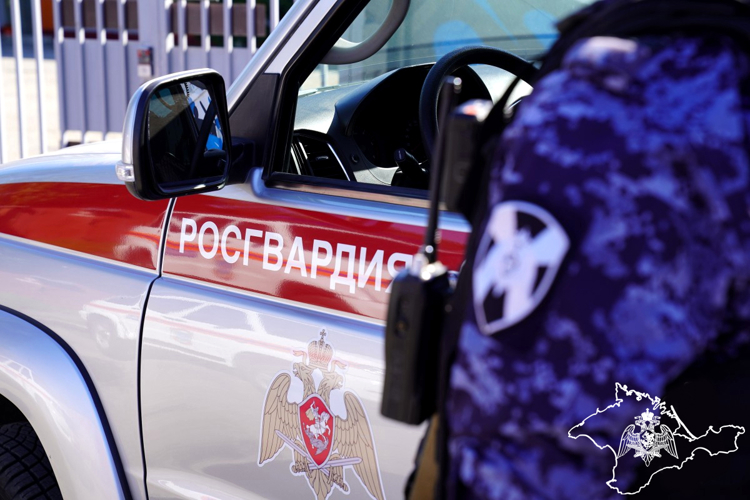 Росгвардейцы за неделю пресекли ряд правонарушений в Крыму и Севастополе