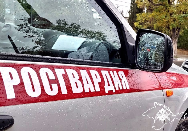 Росгвардейцы за неделю пресекли ряд правонарушений в Крыму и Севастополе