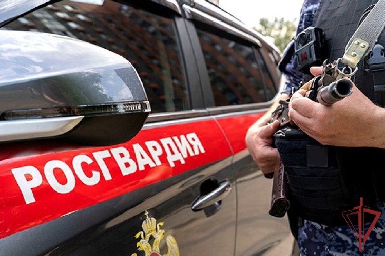 Сотрудники вневедомственной охраны Росгвардии пресекли противоправное проникновение на охраняемый объект в Севастополе